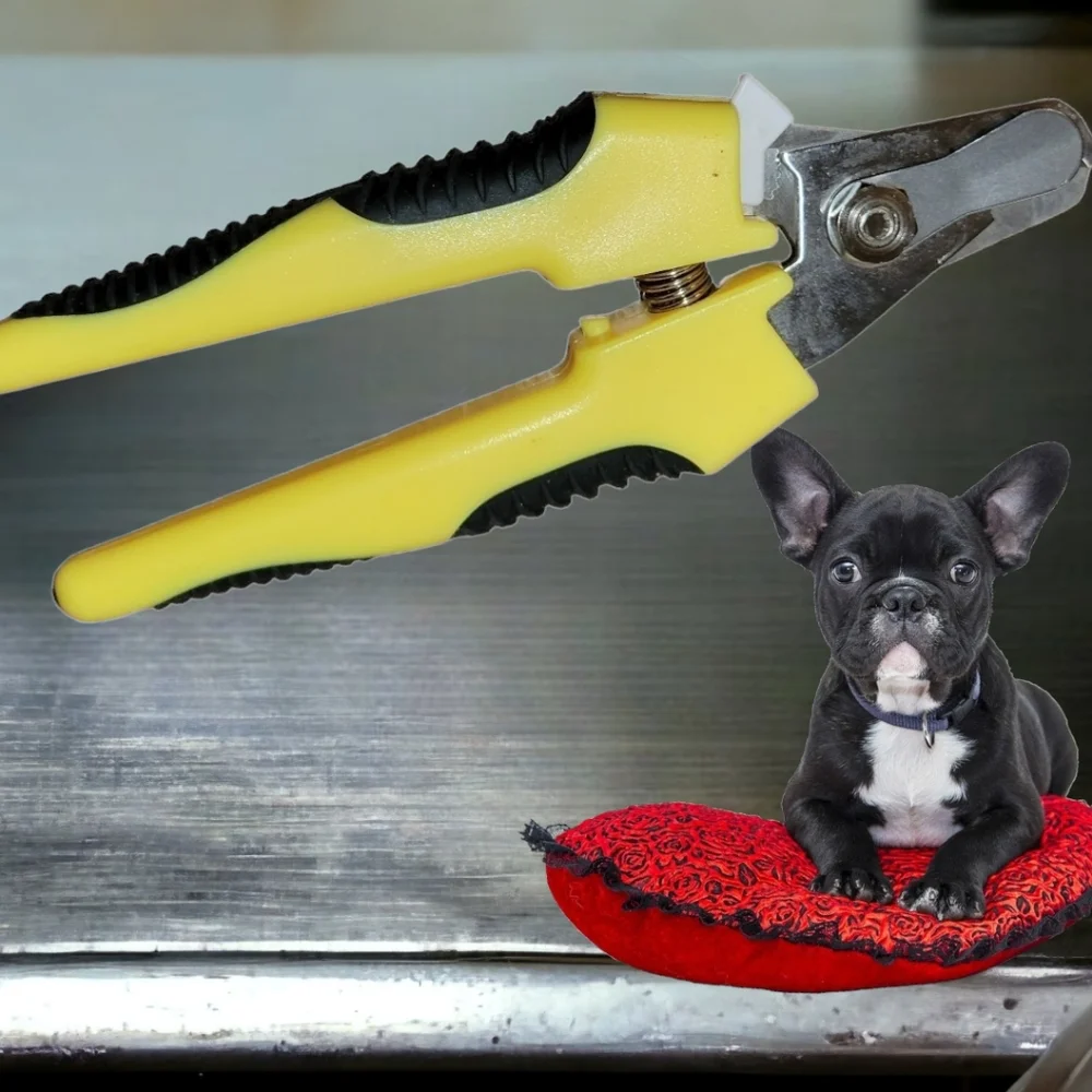 Conairpro dog nail clippers and Woofie dog photography tool